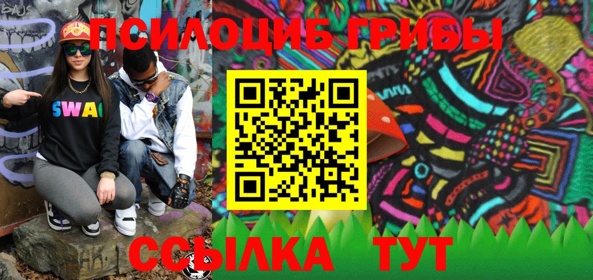 Бор  цена   Вход с VPN  Псилоцибиновые грибы Magic Shrooms 