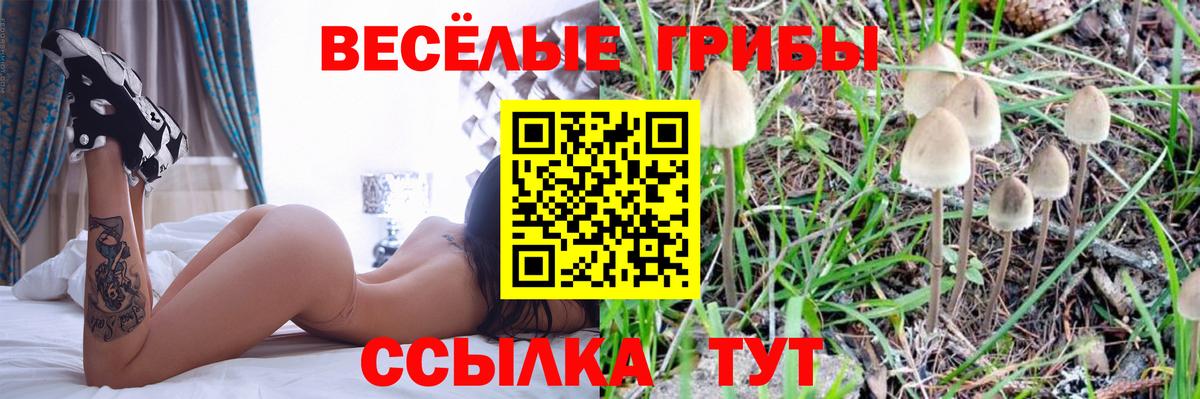 Галлюциногенные грибы GOLDEN TEACHER Бор